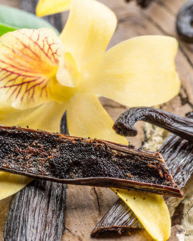 Vanilla Crème Musk