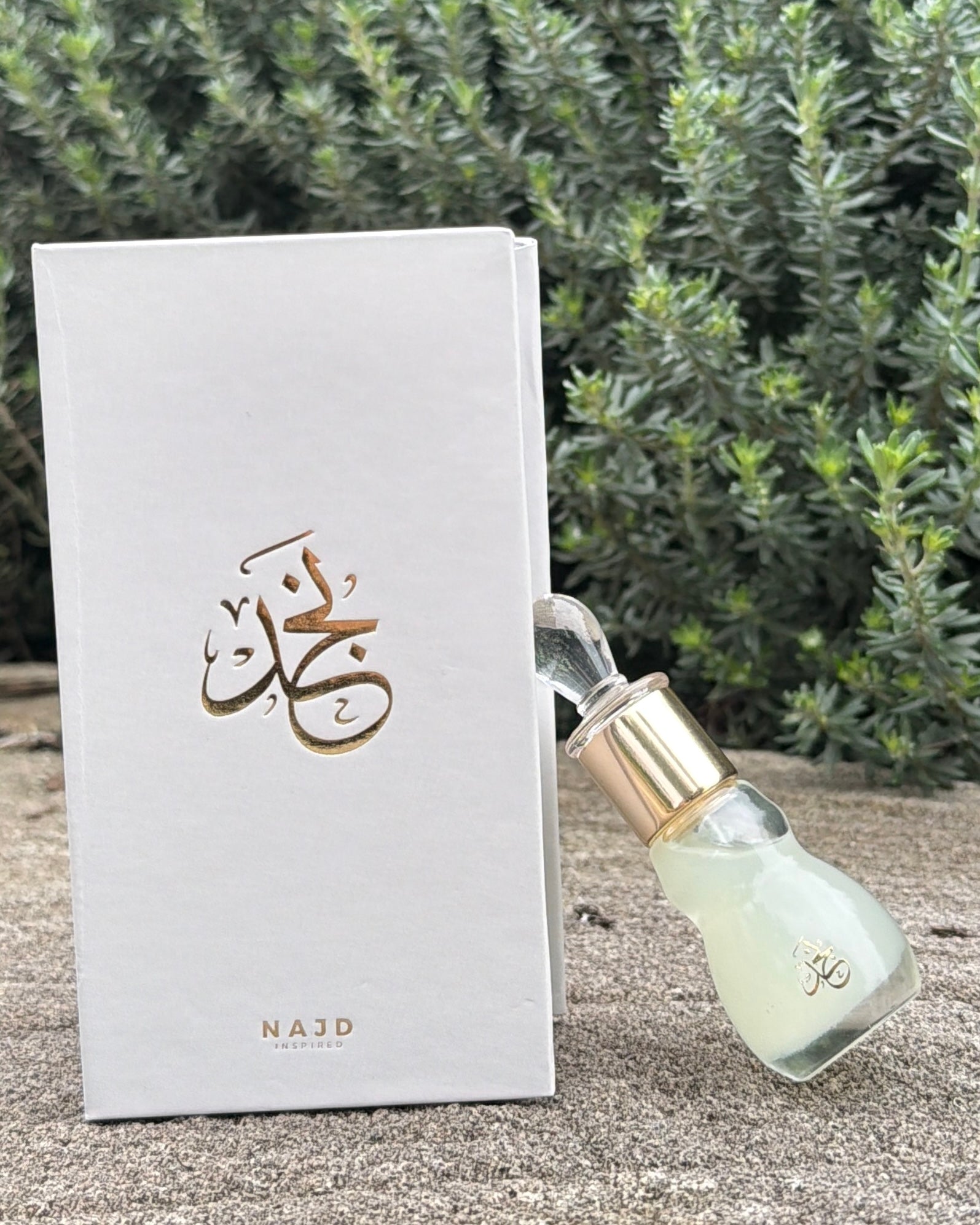 Vanilla Crème Musk